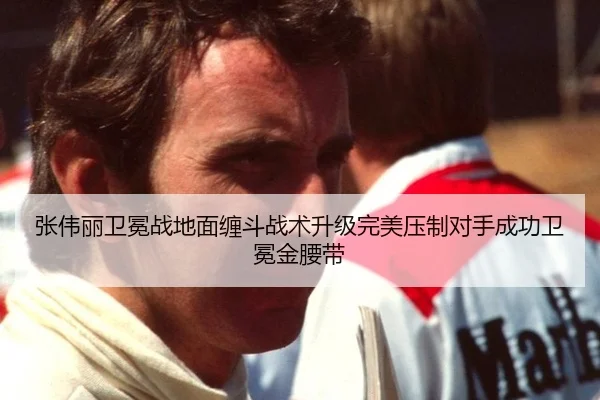 zhang-wei-li-wei-mian-zhan-di-mian-chan-dou-zhan-shu-sheng-ji-wan-mei-ya-zhi-dui-shou-cheng-gong-wei-mian-jin-yao-dai-3-503.jpg