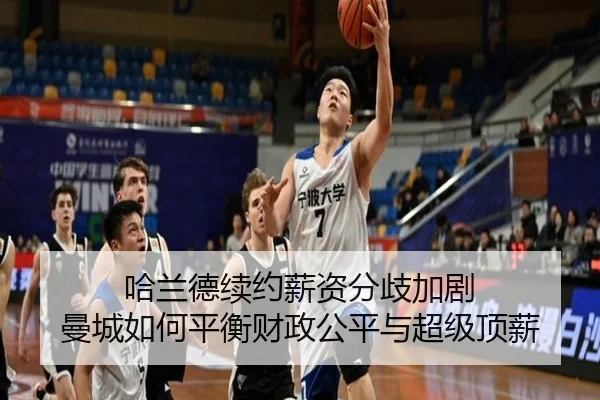 ha-lan-de-xu-yue-xin-zi-fen-qi-jia-ju-man-cheng-ru-he-ping-heng-cai-zheng-gong-ping-yu-chao-ji-ding-xin-2-995.jpg