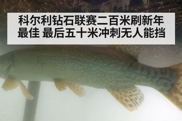 科尔利钻石联赛二百米刷新年最佳 最后五十米冲刺无人能挡