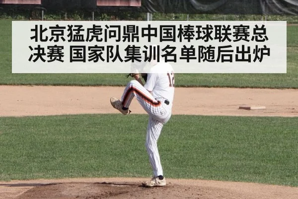 北京猛虎问鼎中国棒球联赛总决赛 国家队集训名单随后出炉